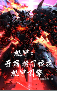 机甲：开局拆了校花机甲引擎